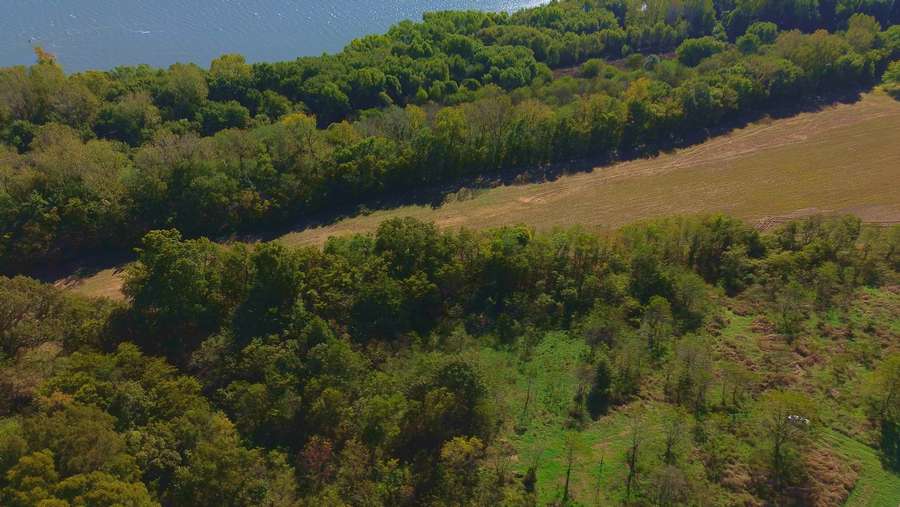 Still 2025-11-17 100017_1.78.11.jpeg